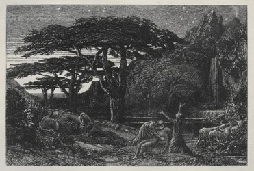 The Cypress Grove
