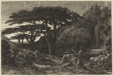 The Cypress Grove