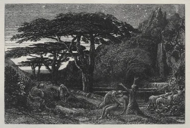 The Cypress Grove