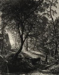 The Herdsman