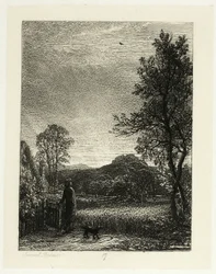 The Skylark