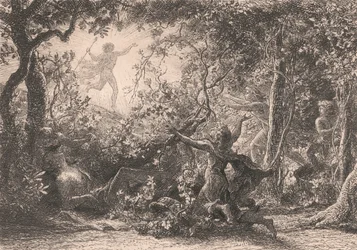 The Vine