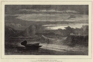 A Waif from a Missing Ship