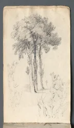 Sketchbook: Tree Study, 1814