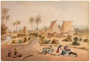 The Homestead, Savu Bay, Fiji, 1870