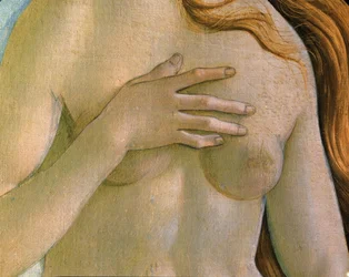The Birth of Venus