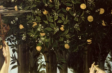 Primavera (detail)