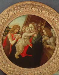 Unknown Image