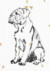 Bulldog Puppy Sketch