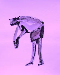 Contemplative Bending Form