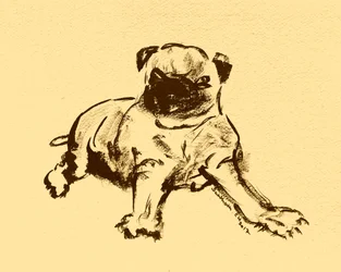 Cute Pug Puppy Sketch