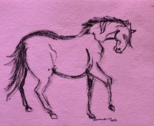 Dynamic Horse Outline