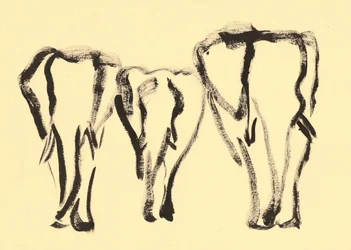Elephant Family Sketch