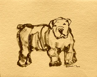 Expressive Bulldog Sketch