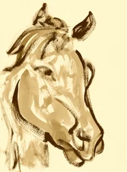 Expressive Horse Head