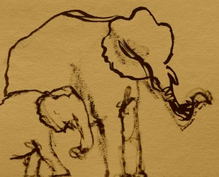Gentle Elephant Family