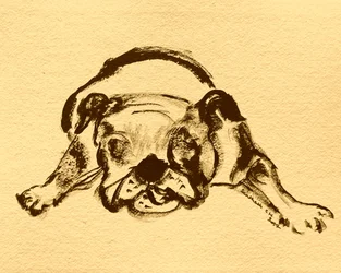 Playful Bulldog Sketch