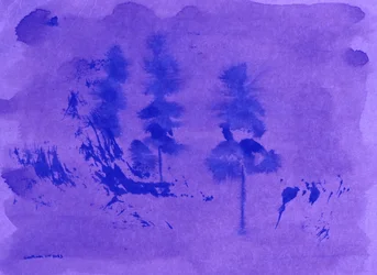 Purple Haze Pines