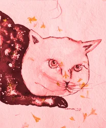Serene Pink Cat