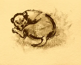 Sleeping Puppy Sketch
