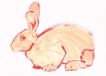 Sweet Orange Bunny