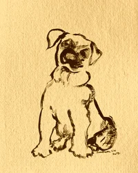 Sweet Puppy Sketch