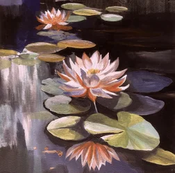 Tranquil Water Lilies
