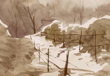 Tranquil Winter Path