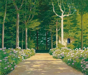 Hydrangeas on a Garden Path