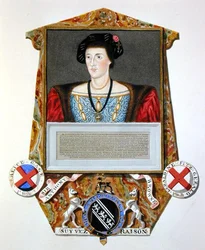 Portrait of Sir Anthony Browne (1500-48) from 