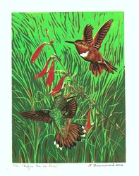 Rufus Pas de Deux