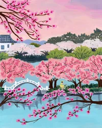 Cherry Blossom Serenity