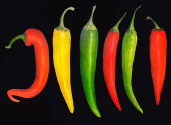 Five Chillies, 2024