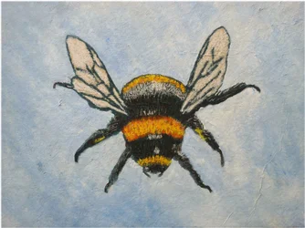 Bumble Bee, 2015