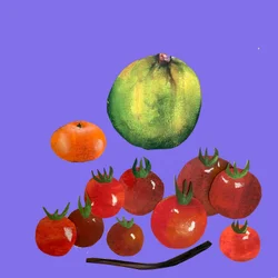 Fruit & Veggies