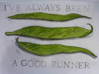 Runner Beans
