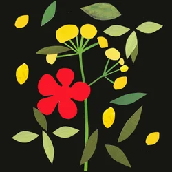 Petals and Leaves