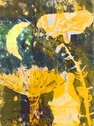 Yellow Moon