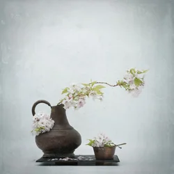 Cherry Blossom Still Life