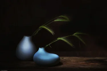 Dark Grass Still Life