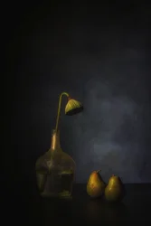 Moody Lotus and Pears