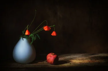 Moody Poppies and Pomegranate