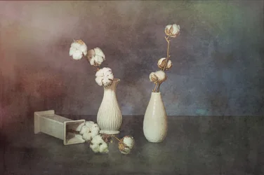 Natural Cotton Vases