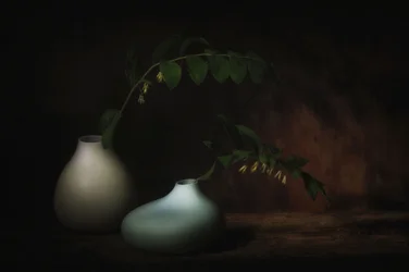 Serene Botanical Still Life