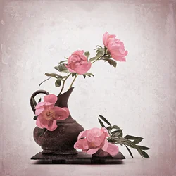 Soft Pink Peonies