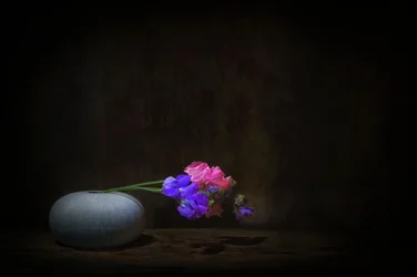 Vibrant Sweet Pea Still Life