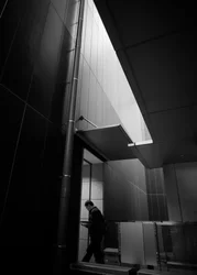 Man in Modern Light
