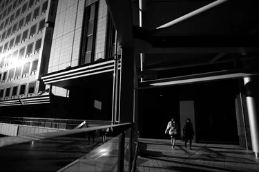 Urban Shadows Walk