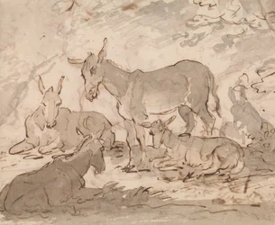 Donkeys