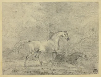 Horses